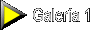 menugal1.gif (1648 bytes)