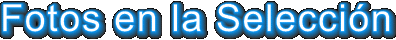 titfselec.gif (9536 bytes)