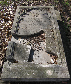 Fallen