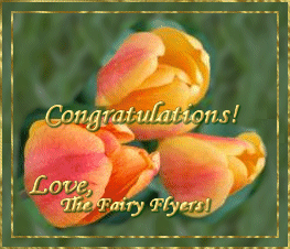 Gift from Fairy Flyer D