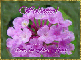 welcome Gift from the Fairy Flyers
