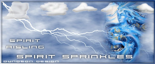 Spirit Award
