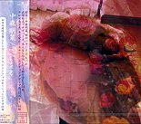 I hope so : CD front jacket