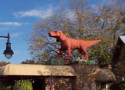 Northport as an arts center: the red retriever