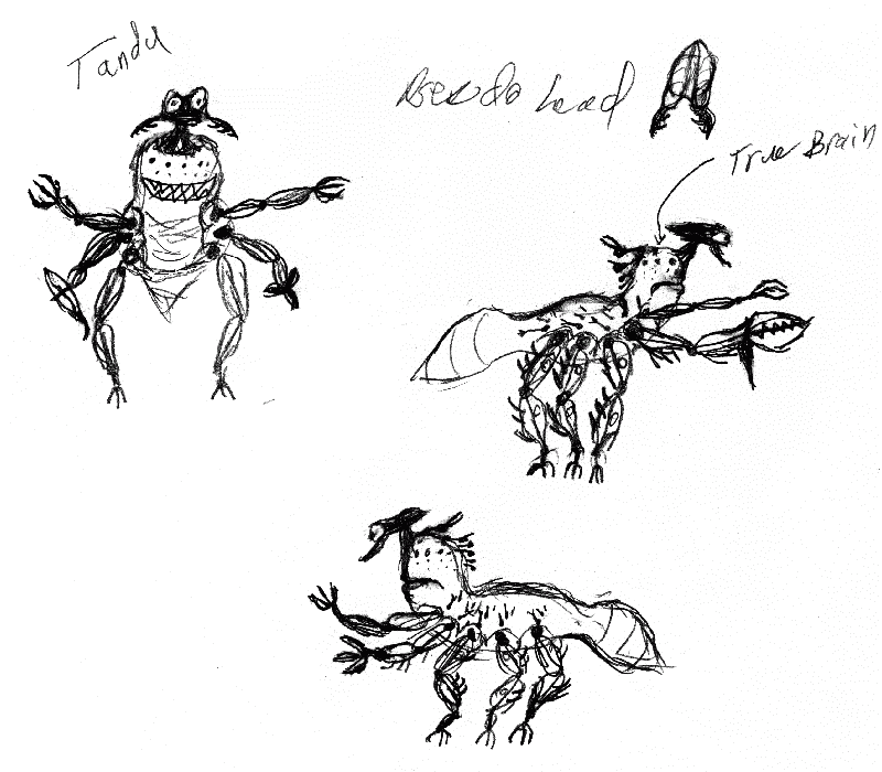 Anterior, Left, and Right views of a Tandu