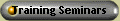 Training Seminars