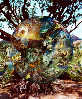 Standing People:  Earth Guides, DISCOVERYPath Artists, Copyright 2000 Phoenix Specialties Inc.