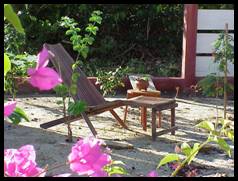 Garden, All Seasons Guesthouse, Hopkins Village, Belize