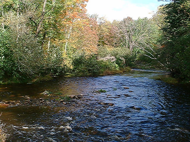 An t-Allt Shidaig