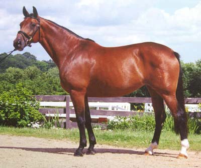 Debbis Alppiruusussa elokuussa 2001 / (C) Thomas Farm - luvat kunnossa