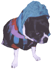 parka