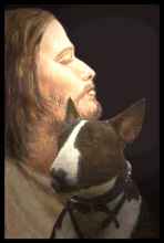 lucyjesus