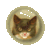 Bullet