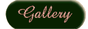 Islamic Gallery