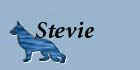 steviebut.jpg (12634 bytes)