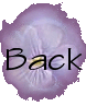 Return to sitemap