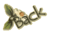 Return to Sitemap