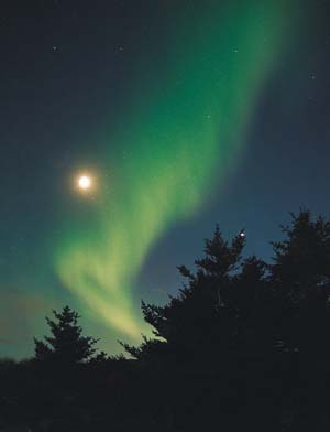 northern lights