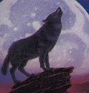 Wolf Path