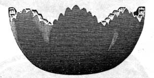 fry4026.jpg