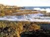 Halibut Point State Park, Rockport, MA, Ocean ledges