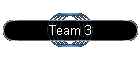 Team 3