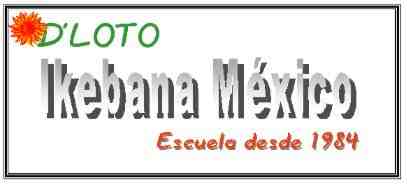 Pgina auspiciada por D'LOTO, arte, flores y decoracin, HAZ CLIK AQU