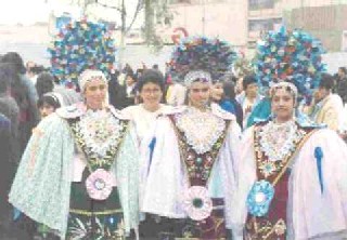 pallas