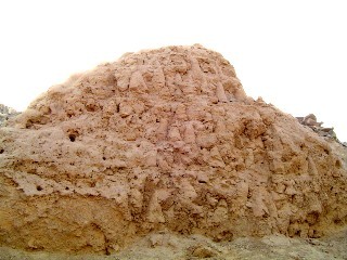 sechinaltoadobe