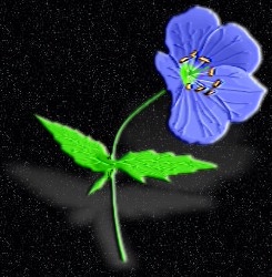 ClipArt by Corel Corp.