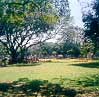 Whitefield pics