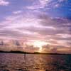 Bringing back a piece of God's Own Country