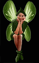 FlapFlap