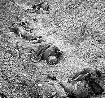 Photo of Dead in Trenches