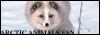Artic Animal Fan