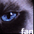 Cat & Kitten Fan