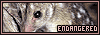 Endangered Animal Fan