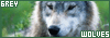 Grey Wolf Fan
