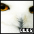 Owl Fan