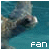 Sea Turtle Fan