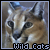Wild Cats Fan