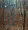 Birch forest