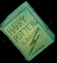 Ronald Weasleyn kirjoittama Harry Potterin elämäkerta