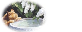 Click On image to download