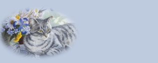 Click On image to download