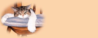 Click On image to download
