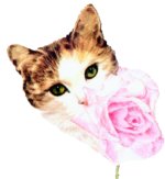 Click On image to download