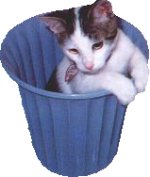 Click On image to download