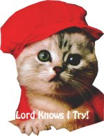 Click On image to download