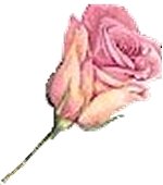 Click On image to download